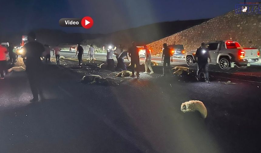 Van'da Trafik Kazası: Araç Koyun Sürüsüne Daldı: 2 Yaralı