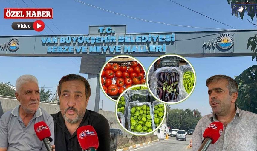 Van Sebze Hali’nde Kurutmalık Sezonu Başladı: İşte Domates, Biber, Patlıcan Fiyatları