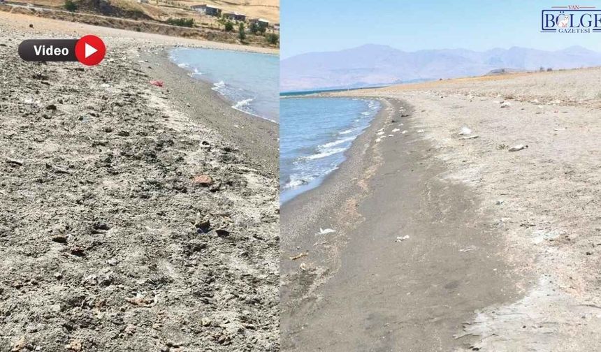 Van Gölü’nün Sahili Çöplüğe Döndü! “Van Sahipsiz Gerçekten”