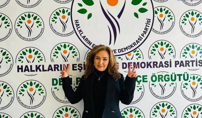 Türkan Kayır DEM Parti’den İhraç mi edildi? Türkan Kayır Kimdir?