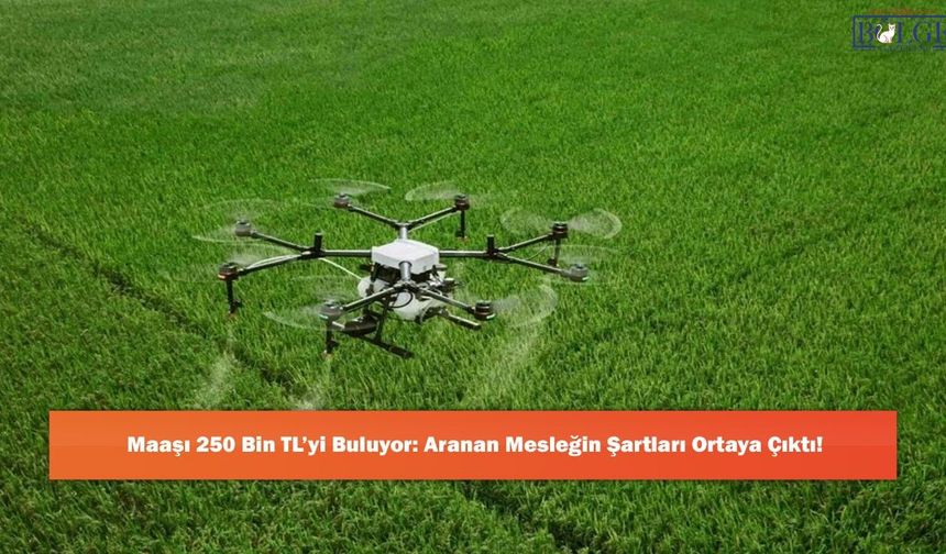 Maaşı 250 Bin TL’yi Buluyor: Aranan Mesleğin Şartları Ortaya Çıktı!