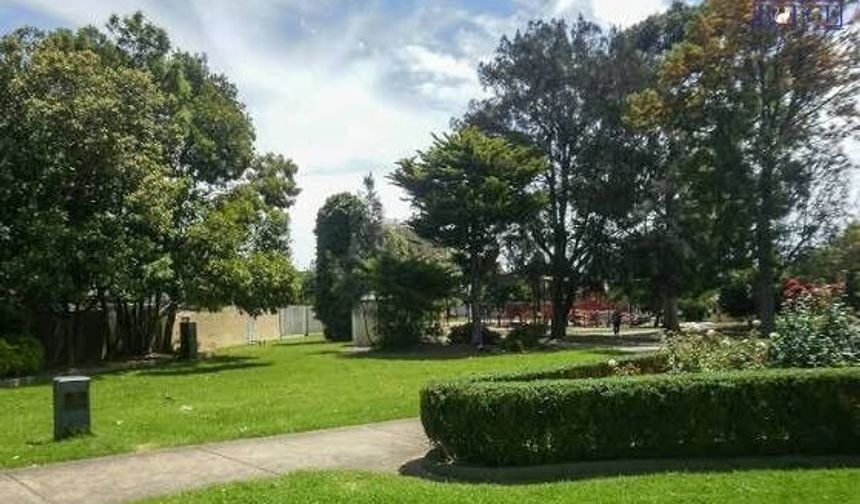 Engelli oğlunu 7 yıl sonra parkta buldu, öğrendikleriyle şoke oldu!