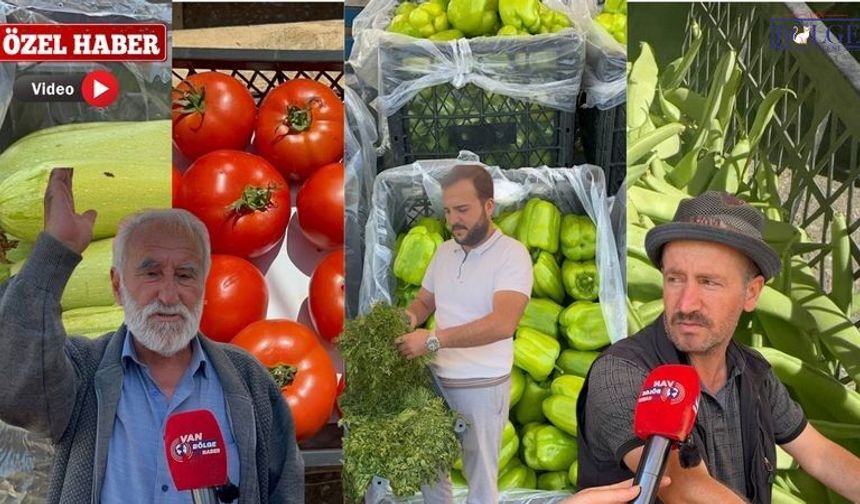 Van’da Sebze Fiyatlarına Yerli Ürün Dopingi