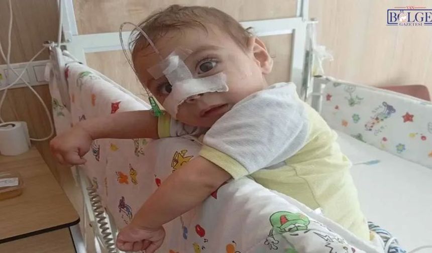 Van’da 11 aylık Miran için aile tüm imkanlarını tüketti: Şimdi yardım bekliyor