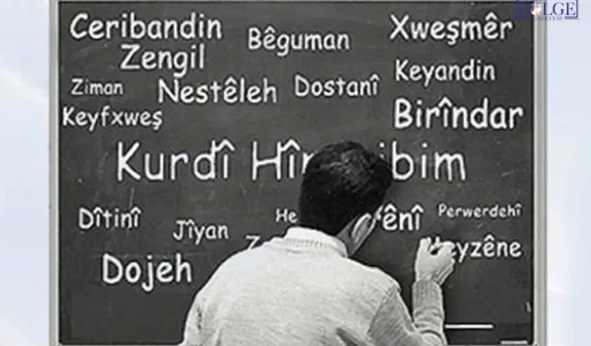 Bin öğrenci Kürtçe dedi, okula bir tek öğretmen atanmadı