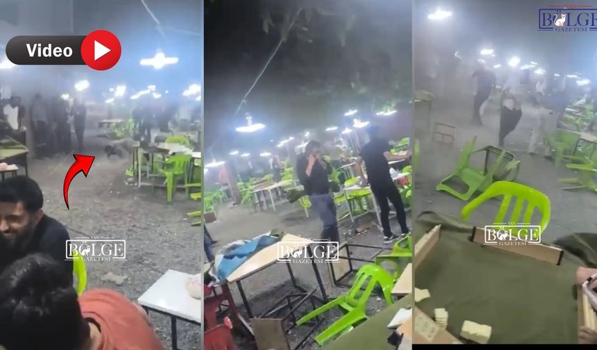 Hakkârililerin okey aşkına rüzgâr da engel olamadı: Oyuncu kendini yerde buldu!