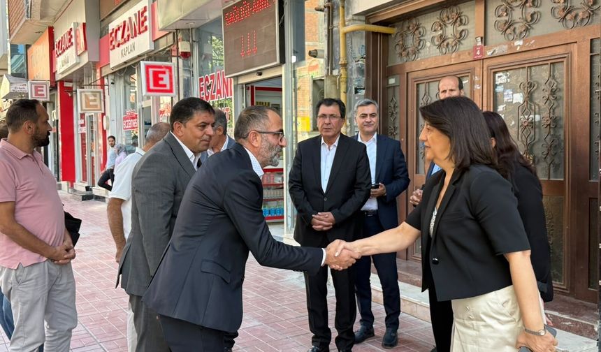Pervin Buldan ve DEM Parti heyetinden Van Gölü Gazeteciler Camiyetine Çıkarma