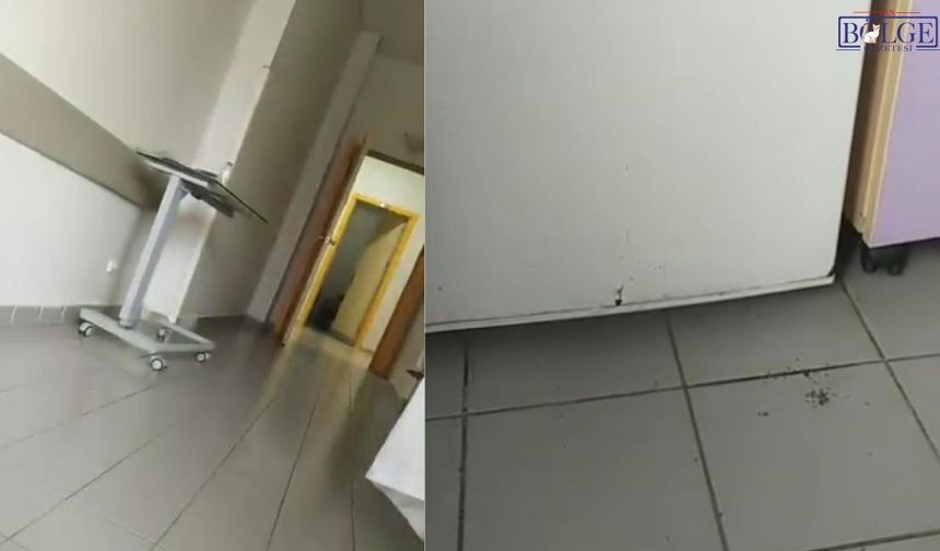 Van’da Hastanede Ortaya Çıkan Görüntü Şaşırttı