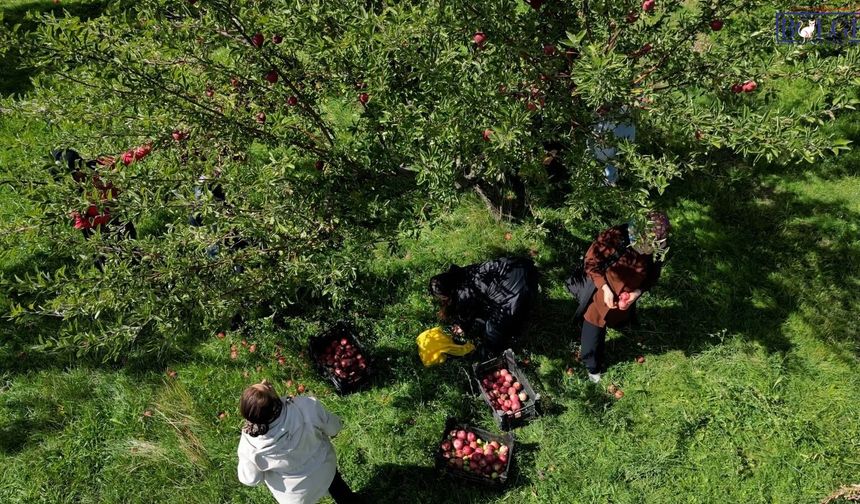 Tuşba’da kadın dayanışması üretime dönüştü
