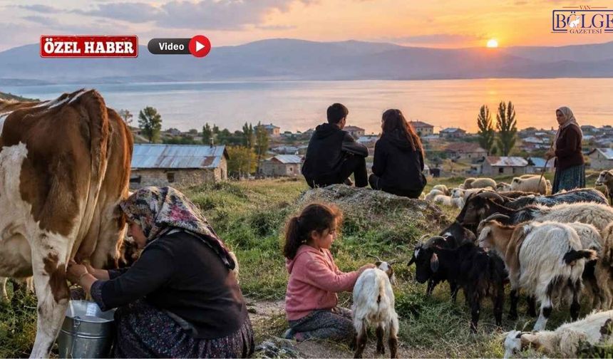 Van’da Kırsalın Sessiz Çığlığı: Kadınlar ve Gençler Nereye Gidiyor?