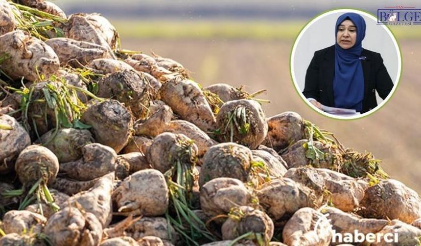 Van’da pancar üreticisinin tepkisi Meclis’e taşındı: Çiftçi neden geçinemiyor?