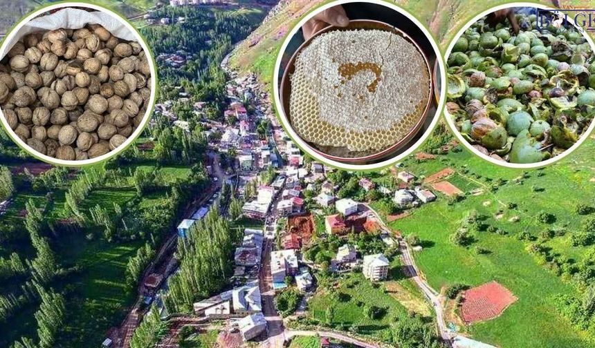 Van Bahçesaray’da Bal ve Ceviz Bereketi: İşte Fiyat Listesi