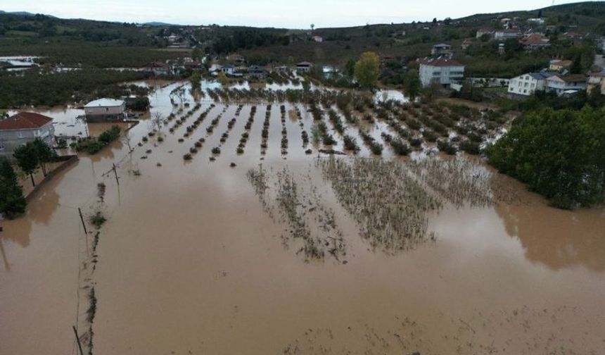 Sel Bir Mahalle Yuttu: Su Seviyesi 50 Santimetreye Ulaştı
