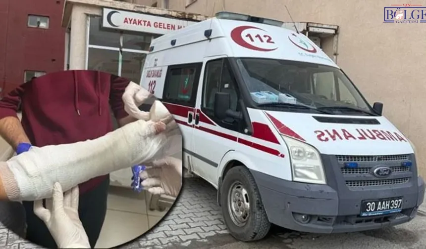 Ceviz Ağaçlarından Düşen 5 Kişi Hastanelik Oldu