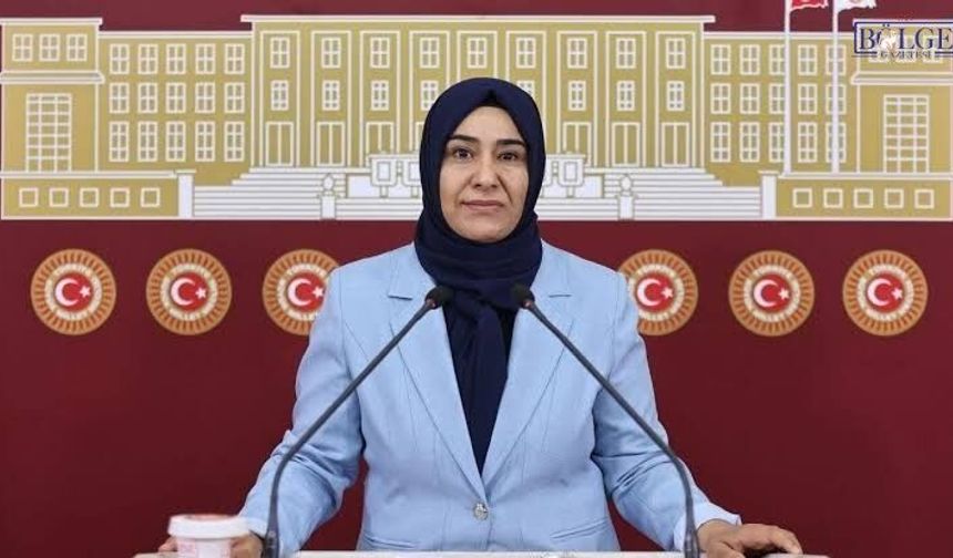 Van’da kronik sorunlar Meclis gündeminde
